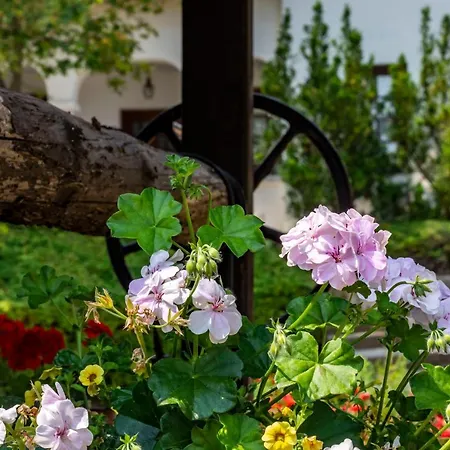 בית הארחה Garabo Garden פלוזנק